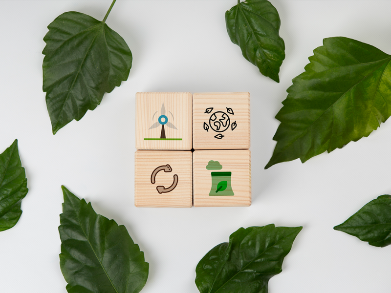 Green skills são cada vez mais valorizadas no currículo | JValério